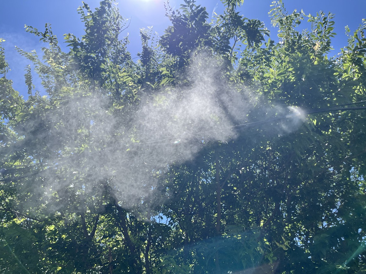 Ultra-fine misting plume evaporating in the hot Texas summer air